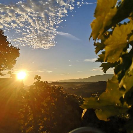 Peiserhof Ferien.Wein.Gut Suedsteiermark Villa Wies Exterior photo